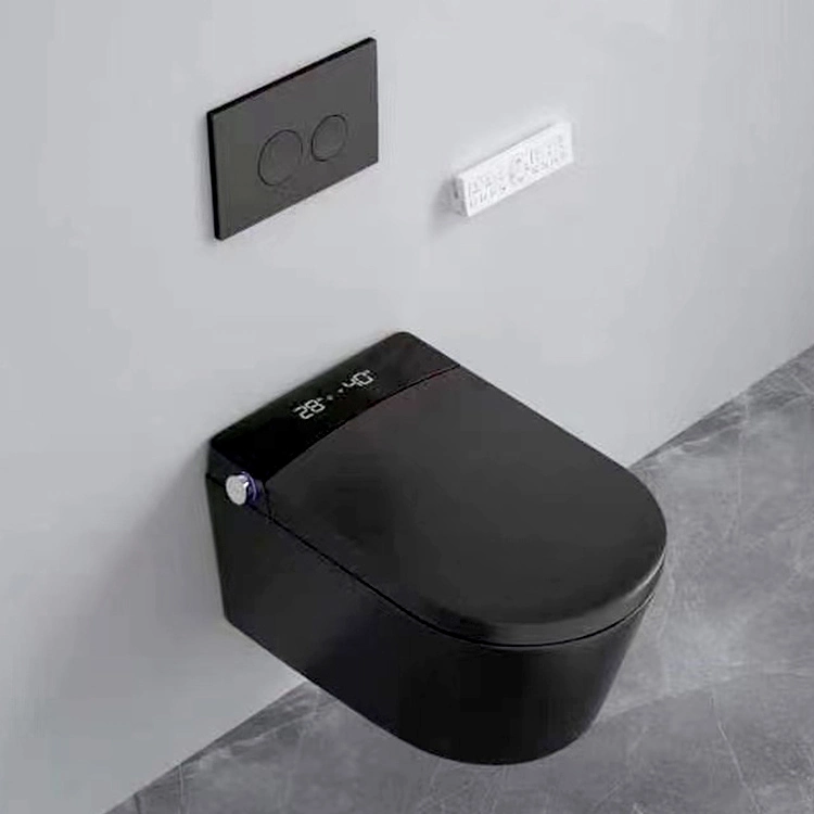 Watermark Back to Wall Mounted Hanging Ceramic Electric Intelligent Smart Toilet